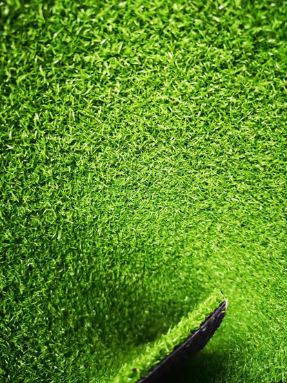 Track Artificial Lawn grass - Sled Push and Pull Turf  (Price base on per M2)