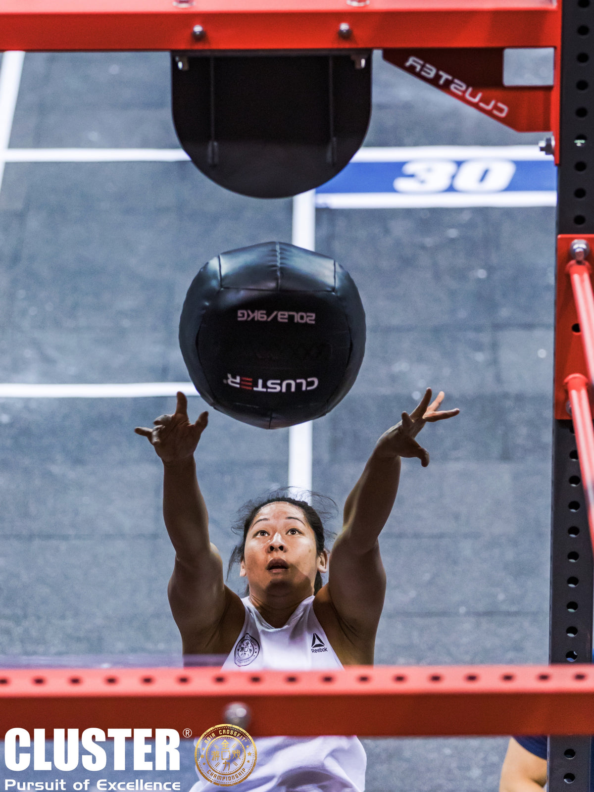 Cluster PU Medicine Ball Wallball