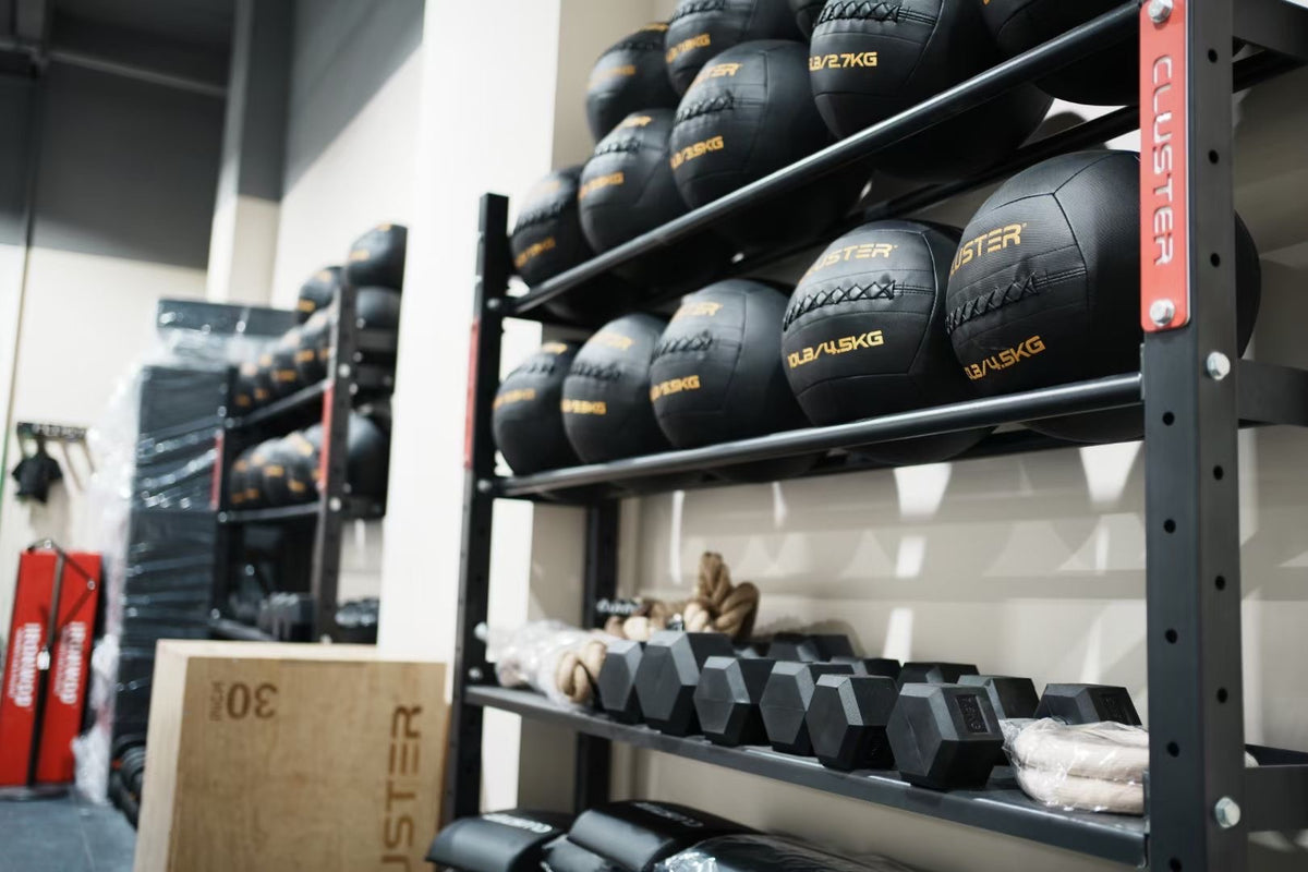 Cluster PU Medicine Ball Wallball
