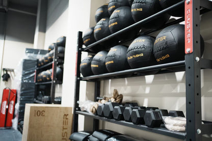 Cluster PU Medicine Ball Wallball