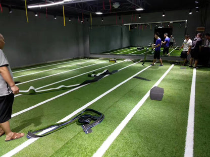 Track Artificial Lawn grass - Sled Push and Pull Turf  (Price base on per M2)